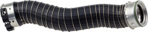 Gates 09-0194 -  -