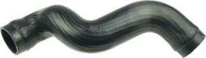 Gates 09-0335 -  -