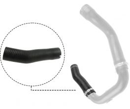 Gates 09-0484 -  -