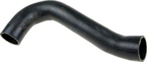 Gates 09-0818 -  -