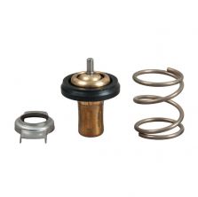 Gates TH49288G1 - Termostat -