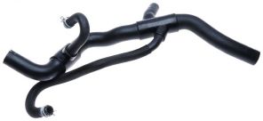 Gates 05-2410 -  -