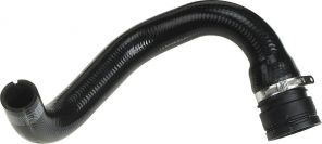 Gates 05-2955 -  -