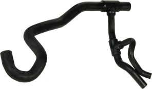 Gates 05-3119 -  -