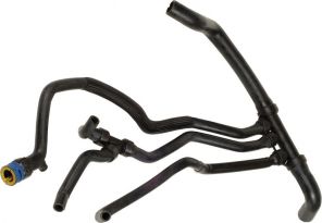 Gates 05-3132 -  -