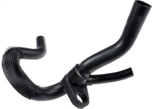 Gates 05-3146 -  -