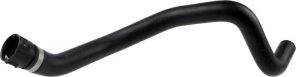 Gates 05-3167 -  -