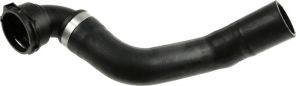 Gates 05-3173 -  -