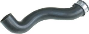 Gates 05-3362 -  -