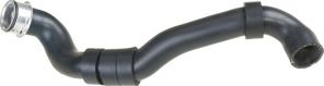Gates 05-3364 -  -