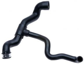 Gates 05-3365 -  -