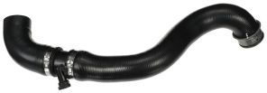 Gates 05-3373 -  -