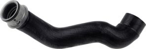 Gates 05-3389 -  -