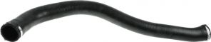 Gates 09-0161 -  -