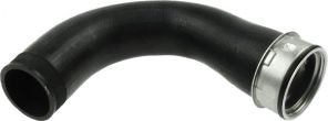 Gates 09-0290 -  -