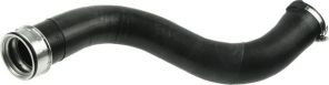 Gates 09-0295 -  -