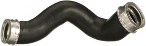 Gates 09-0396 -  -