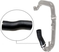 Gates 09-0479 -  -