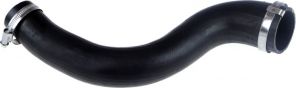 Gates 09-0581 -  -