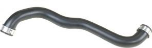 Gates 3954 -  -