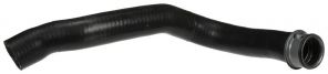 Gates 3958 -  -