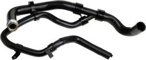 Gates 3984 -  -