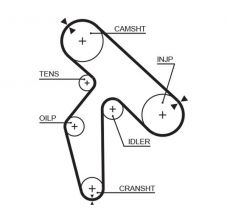 Gates 5391XS - Rozvodový remeň