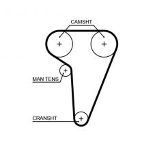 Gates 5549XS - Rozvodový remeň