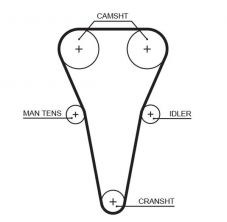 Gates 5567XS - Rozvodový remeň