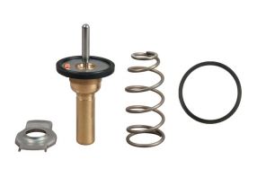 Gates TH49990G1 - Termostat -