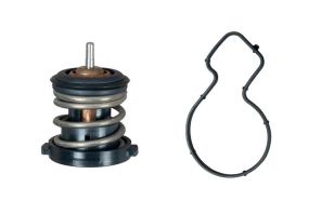 Gates TH59787G1 - Termostat -