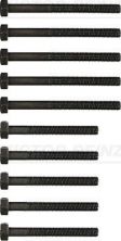 Reinz 14-32035-01 - Sada skrutiek hlavy valcov
