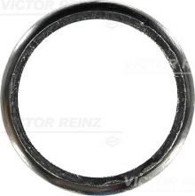 Reinz 71-10615-00 - Tesnenie -