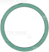Reinz 71-11960-00 - Tesnenie -