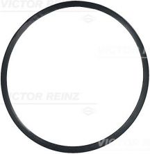 Reinz 71-12160-00 - Tesnenie -