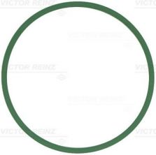 Reinz 71-12439-00 - Tesnenie sacieho potrubia