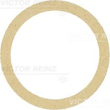 Reinz 71-34244-00 - Tesnenie -