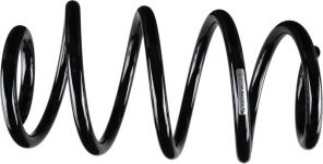 Sachs 993 807 - Pruženie -