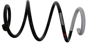 Sachs 993 918 - Pruženie -