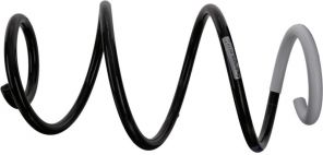Sachs 993 919 - Pruženie -