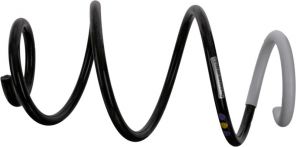 Sachs 993 921 - Pruženie -