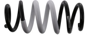 Sachs 994 834 - Pruženie -