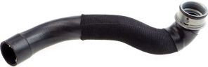Gates 05-3399 -  -