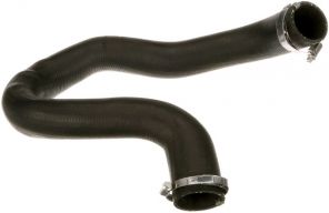 Gates 09-0597 -  -