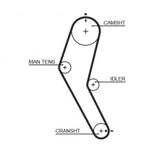 Gates 5422 - Rozvodový remeň