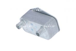 NRF 31216 -  -