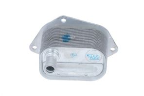 NRF 31298 -  -