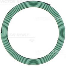Reinz 71-11160-00 - Tesnenie -