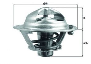 Mahle TX 166 90D - Termostat -