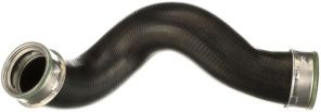 Gates 09-0219 -  -